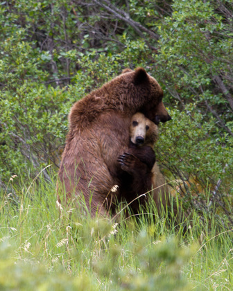 Katmai National Park