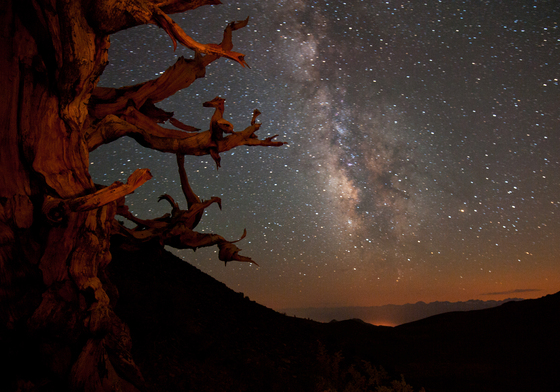 Inyo National Forest