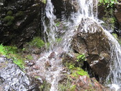 Olympic National Park