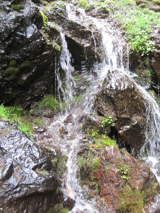 Olympic National Park