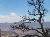 Grand Canyon National Park