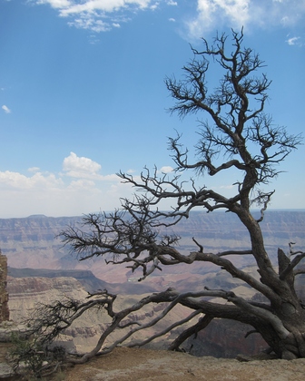 Grand Canyon National Park