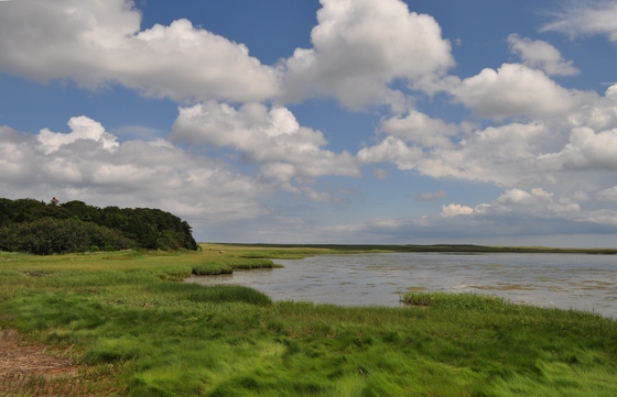 Cape Cod National Seashore