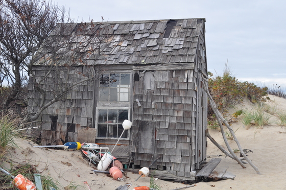 Cape Cod National Seashore