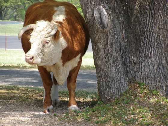 LBJ National Historical Park