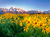Grand Teton National Park