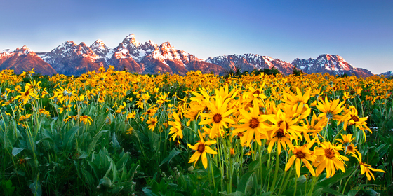 Grand Teton National Park