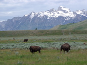 Grand Teton National Park