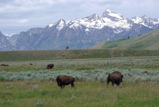 Grand Teton National Park