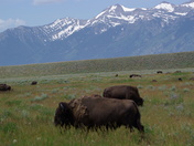 Grand Teton National Park