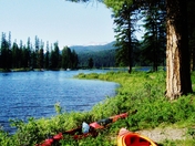 Lolo National Forrest