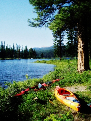 Lolo National Forrest