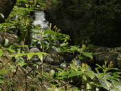 Great Smoky Mountains National Park
