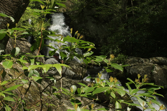 Great Smoky Mountains National Park