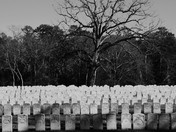 Andersonville Historical Site