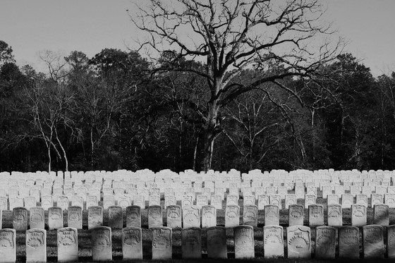 Andersonville Historical Site