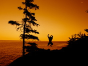 Acadia National Park