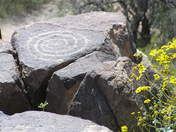 Saguaro National Park West
