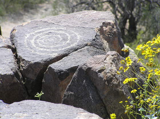 Saguaro National Park West