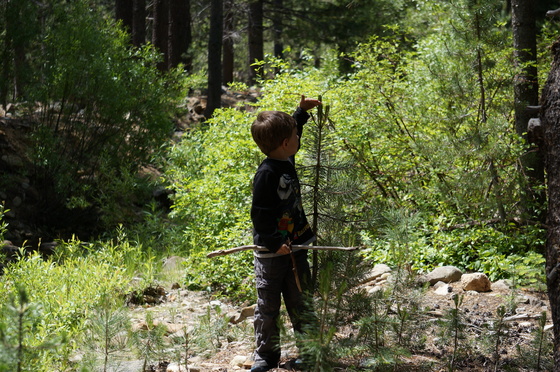 Silver Creek Campground- Truckee River, CA 