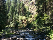 Umatilla National Forest