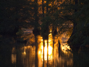 Sam D Hamilton Noxubee National Wildlife Refuge