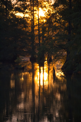 Sam D Hamilton Noxubee National Wildlife Refuge