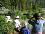 Yellowstone