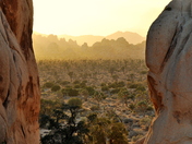 Joshua Tree National Park