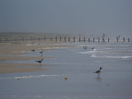 Padre Island National Seashore