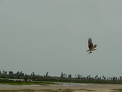 Laguna Atascosa National Wildlife Refuge