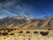 Grant Teton National Park