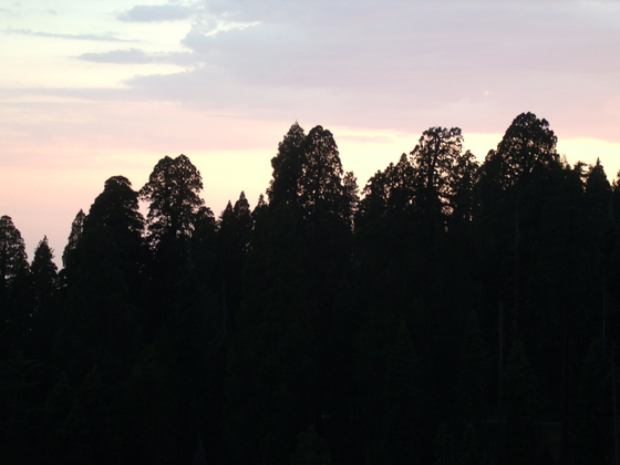 Sequoia National Park 