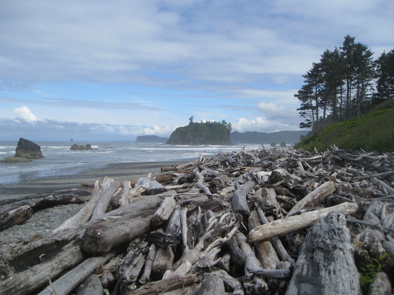 Olympic National Park