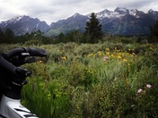 The Grand Tetons National Park