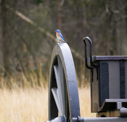 Manassas National Battlefield Park