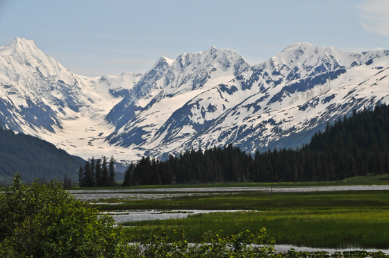 chugach national forest