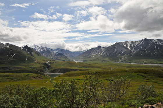 Denali National Park