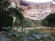 Montezuma Castle