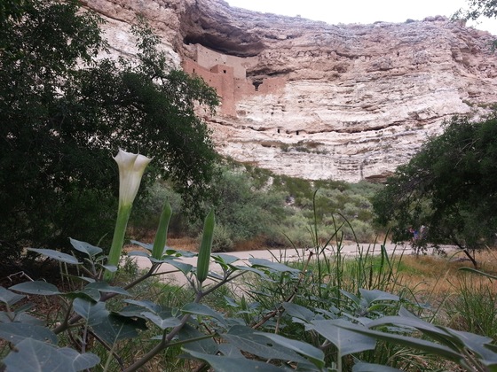 Montezuma Castle