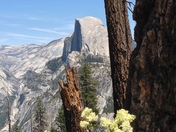 Yosemite National Park