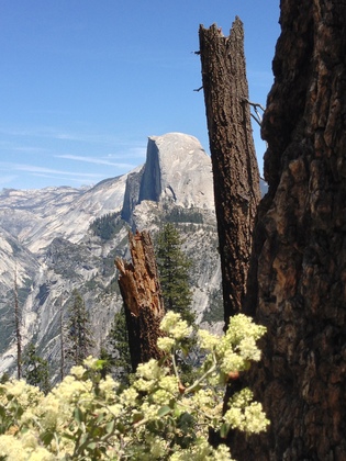 Yosemite National Park