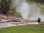 Yellowstone National Park
