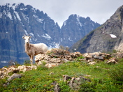 Glacier National Park