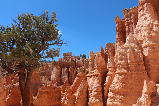 Bryce Canyon National Park