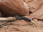 Grand Canyon National Park