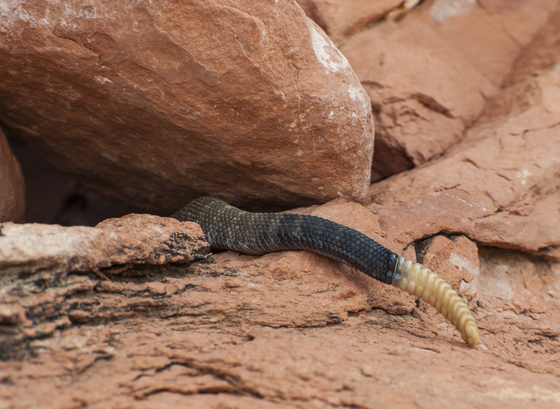 Grand Canyon National Park