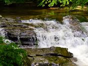 Smokey Mountain National Park