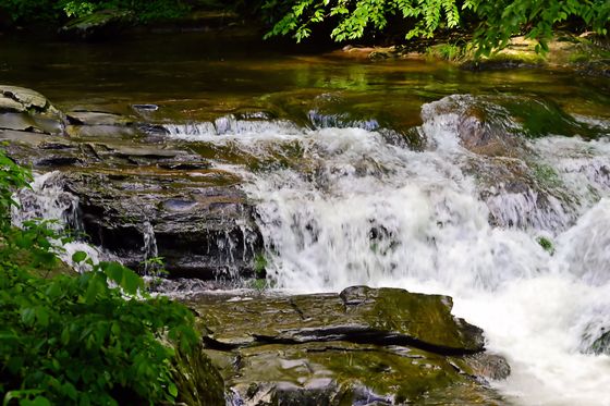Smokey Mountain National Park