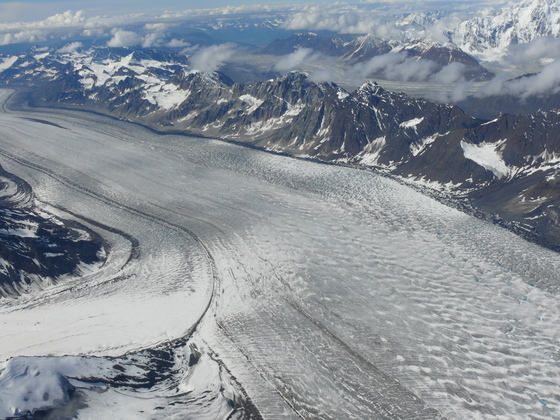 Denali National Park